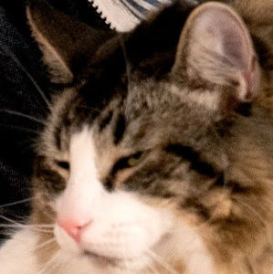 Meet your Posher, Howard